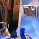 Illustration for article titled PMA 07: Olympus Stylus 770SW Frozen Into a Solid Block of Ice